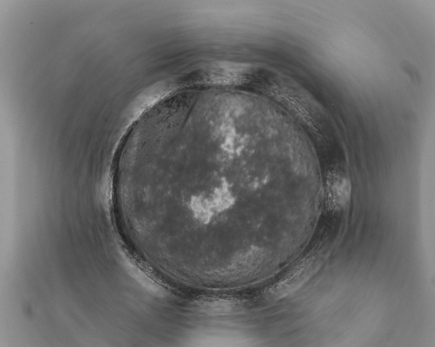 X0000112110726200908181347