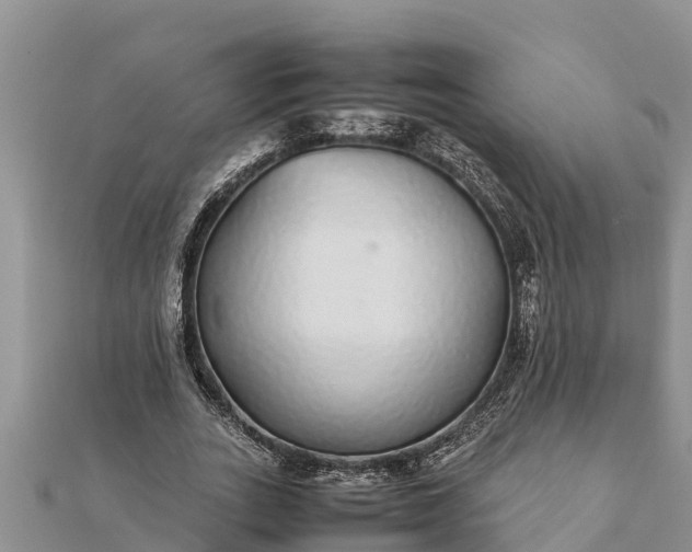 X0000112110727200908181347