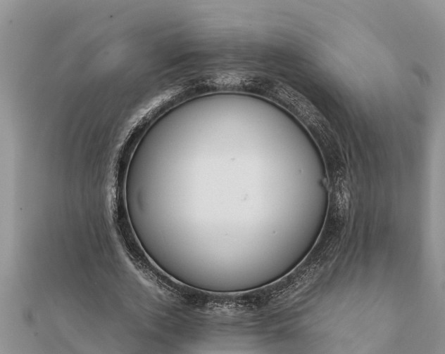 X0000112110728200908181347