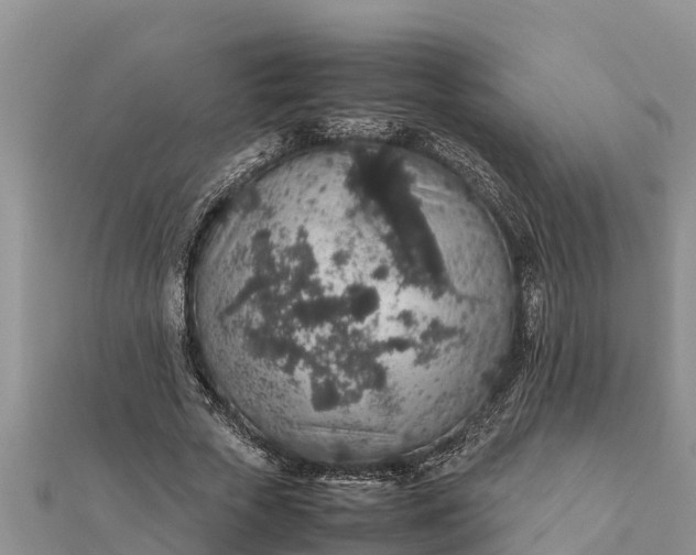 X0000112110729200908181347