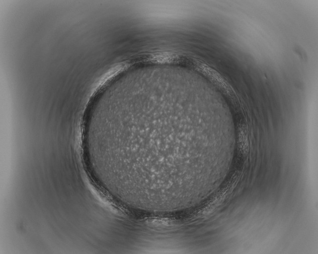 X0000112110730200908181347