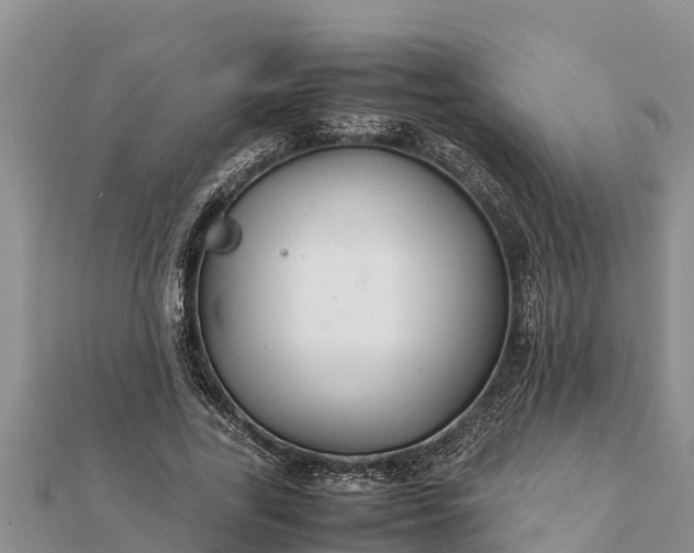 X0000112110731200908181347