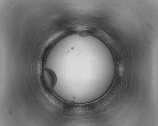 X0000112110732200908181347