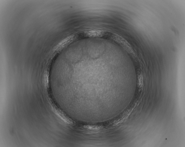 X0000112110733200908181347