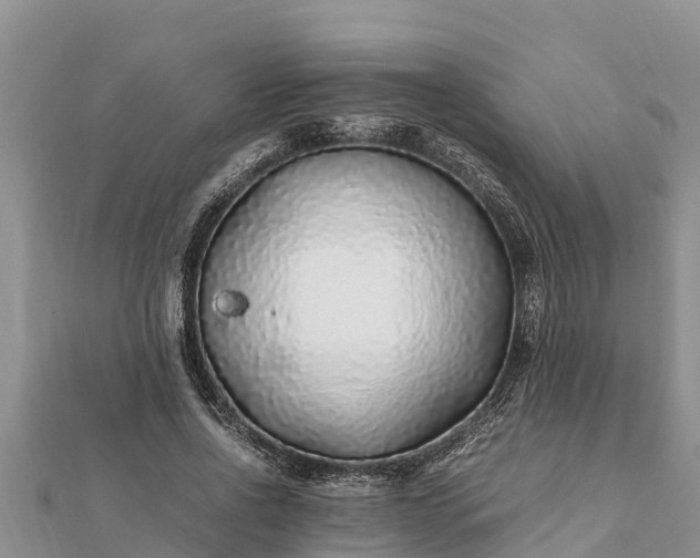 X0000112110734200908181347