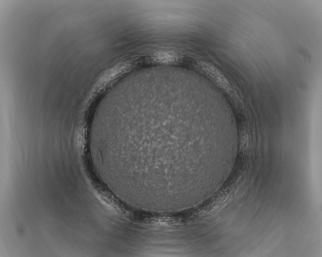 X0000112110736200908181347