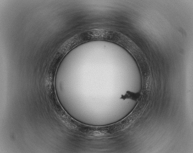 X0000112110737200908181347