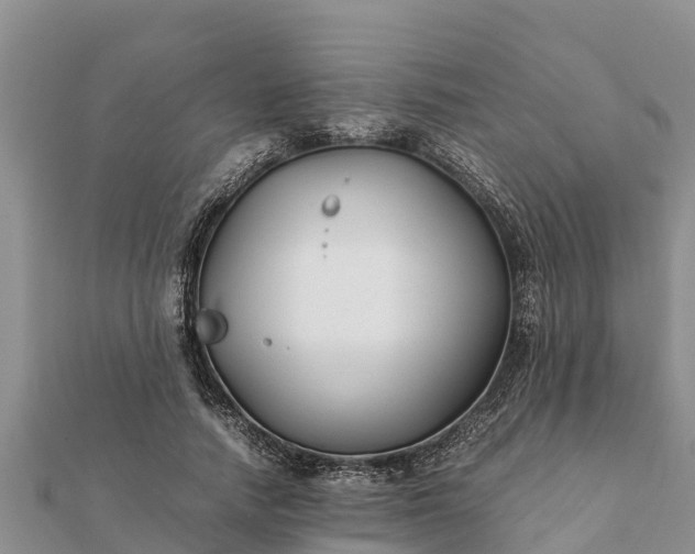 X0000112110738200908181347