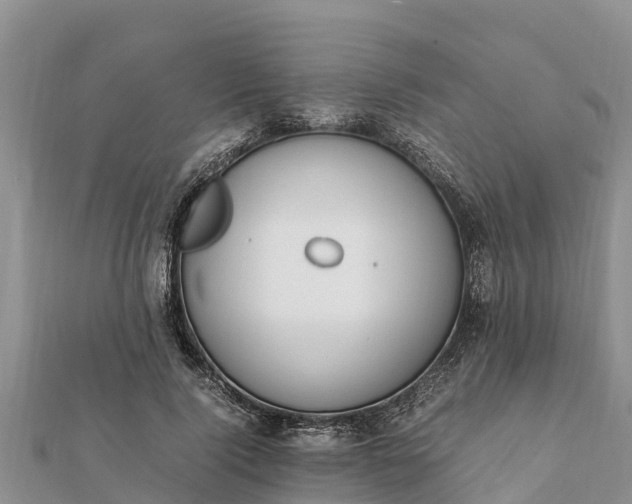 X0000112110740200908181347