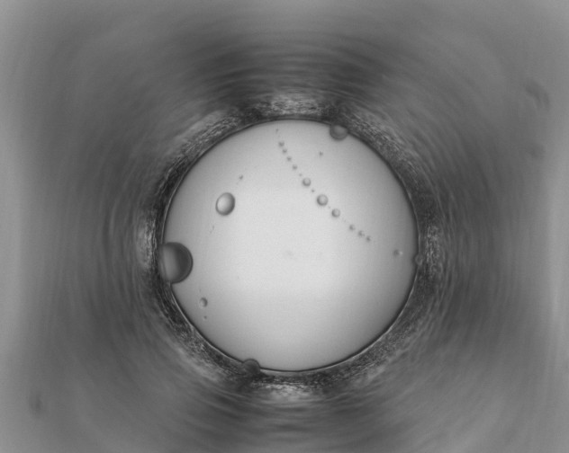 X0000112110741200908181347