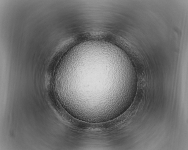 X0000112110742200908181347