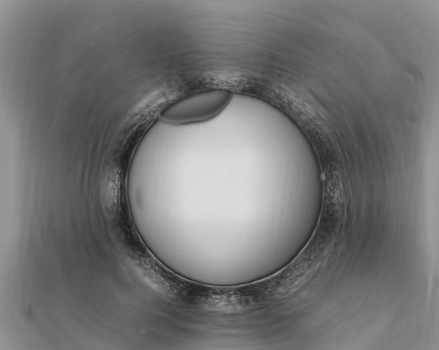 X0000112110744200908181347