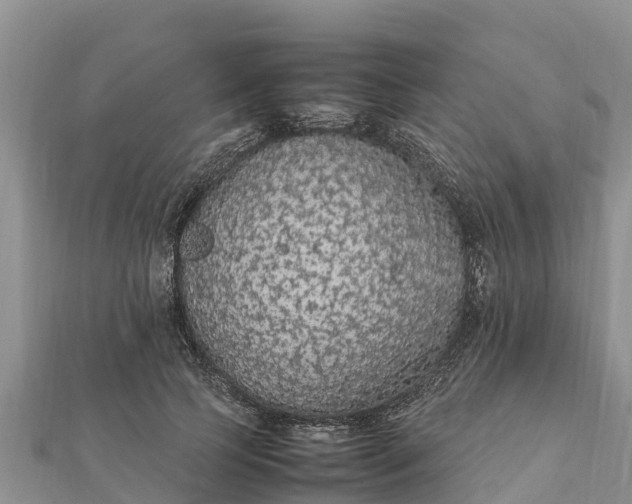 X0000112110745200908181347