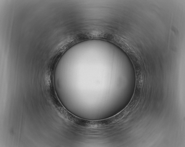 X0000112110746200908181347