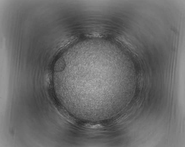 X0000112110747200908181347