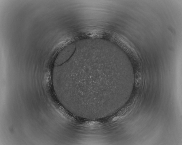 X0000112110748200908181347