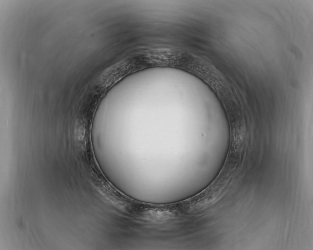 X0000112110749200908181347