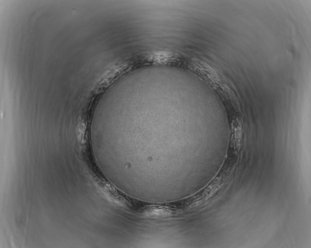 X0000112110750200908181347