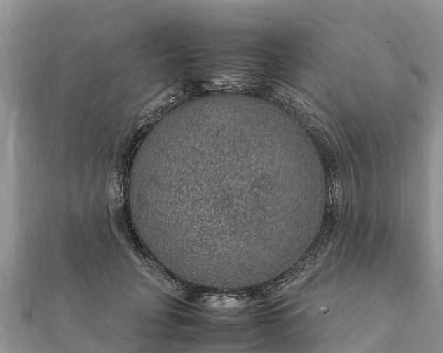 X0000112110751200908181347