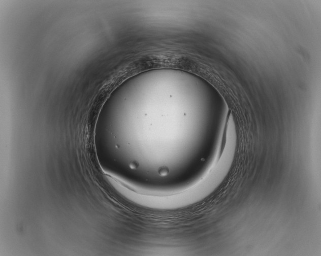 X0000112110752200908181347