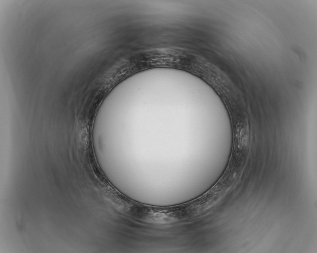 X0000112110753200908181347