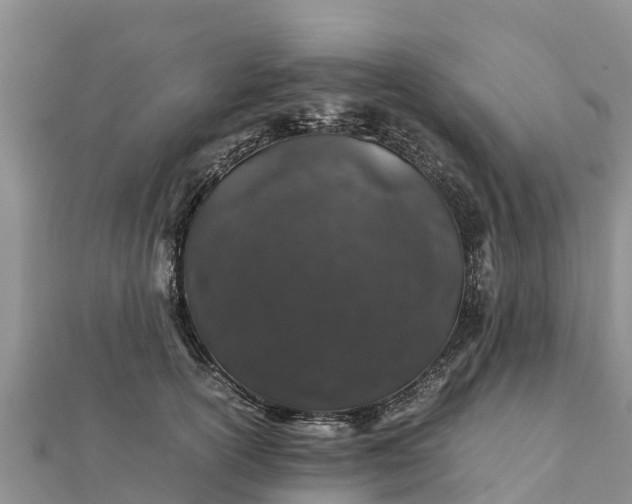 X0000112110754200908181347