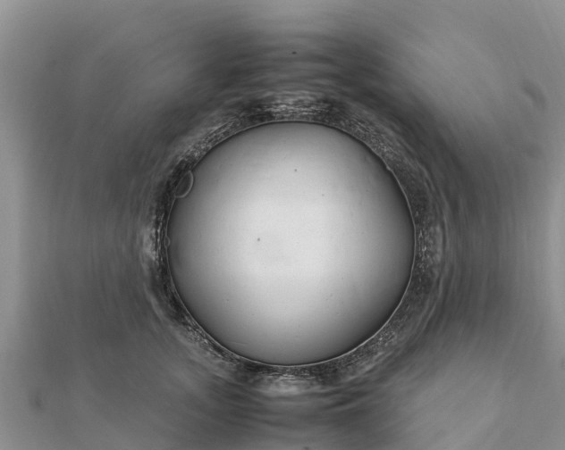 X0000112110755200908181347