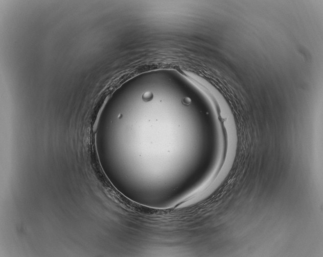 X0000112110756200908181347