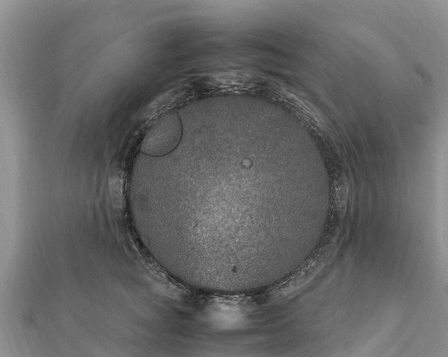 X0000112110757200908181347