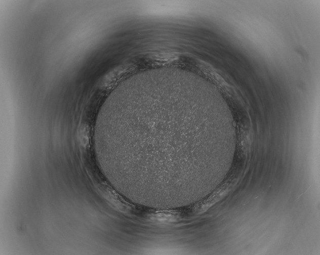 X0000112110758200908181347