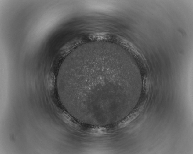 X0000112110760200908181347