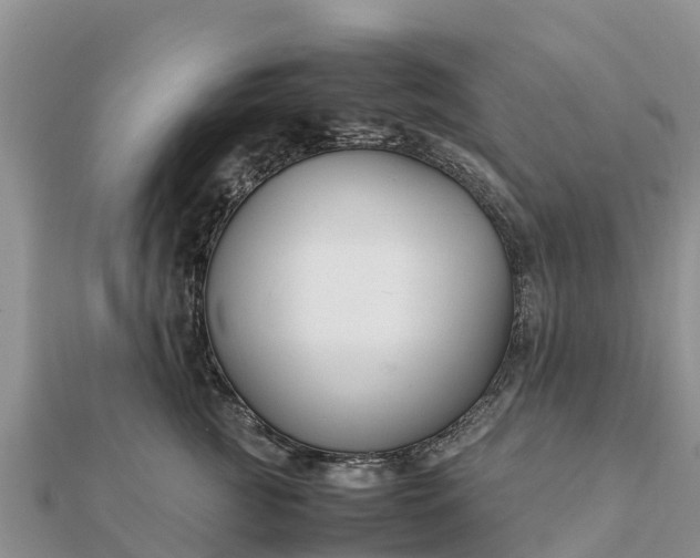 X0000112110761200908181347