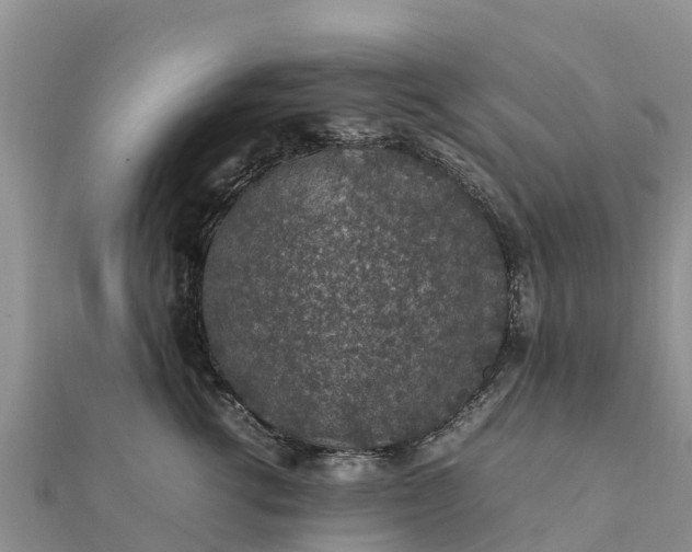 X0000112110762200908181347