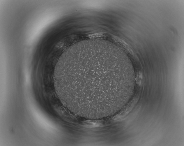 X0000112110763200908181347