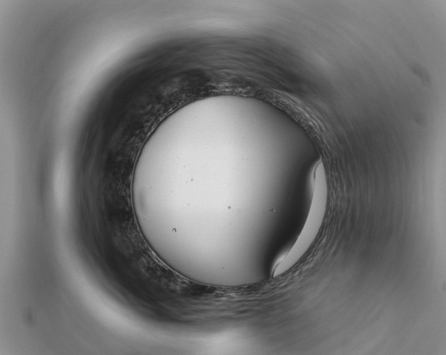 X0000112110764200908181347