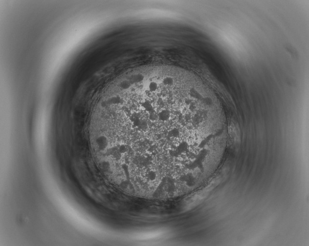 X0000112110765200908181347