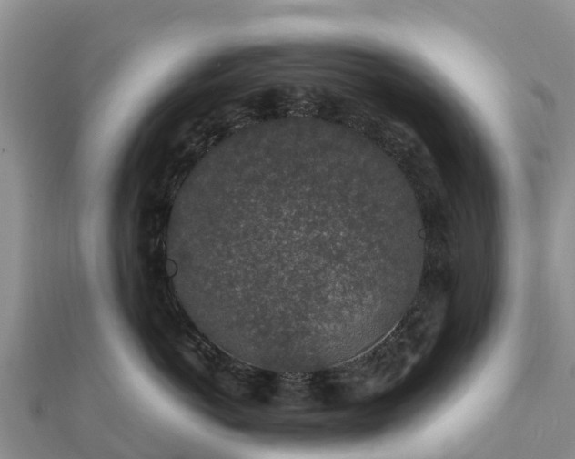 X0000112110766200908181347