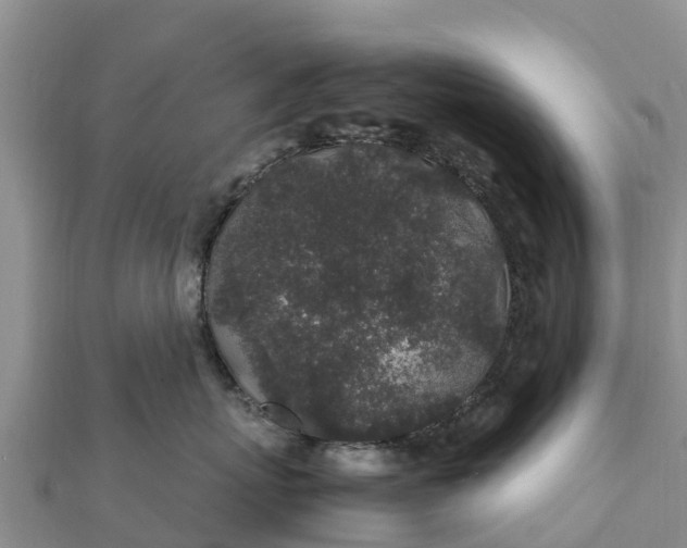 X0000112110767200908181347