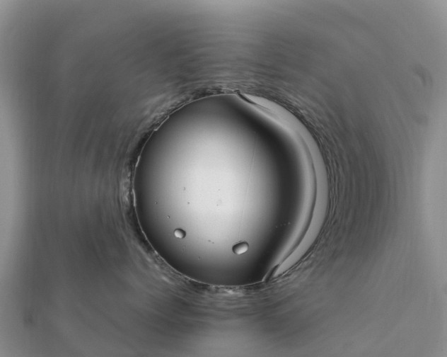 X0000112110768200908181347