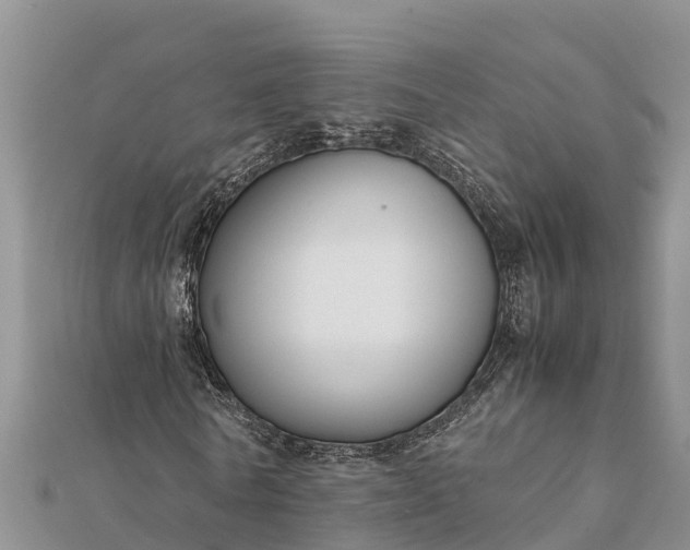 X0000112110770200908181347