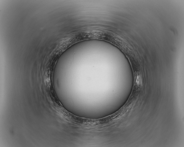 X0000112110771200908181347