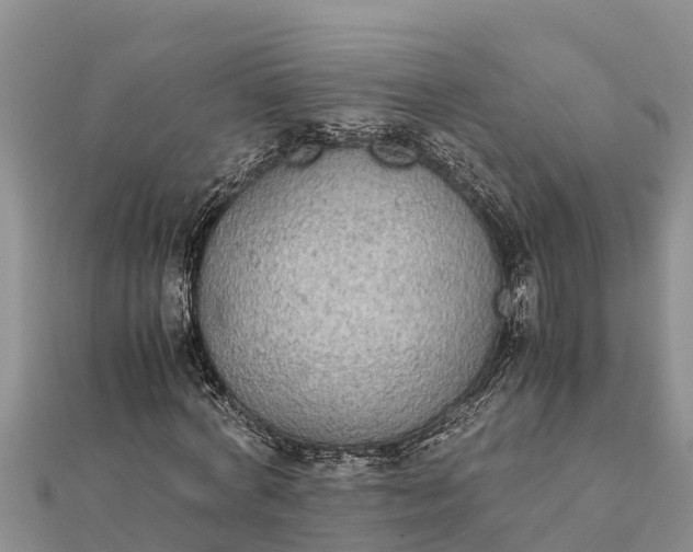 X0000112110772200908181347