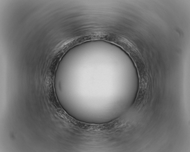 X0000112110773200908181347