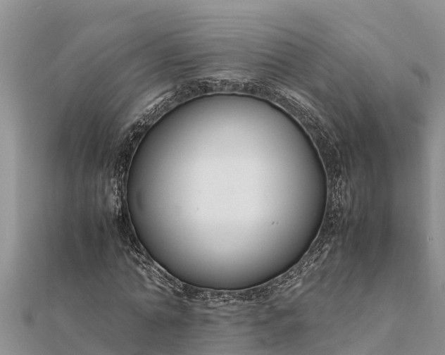 X0000112110774200908181347