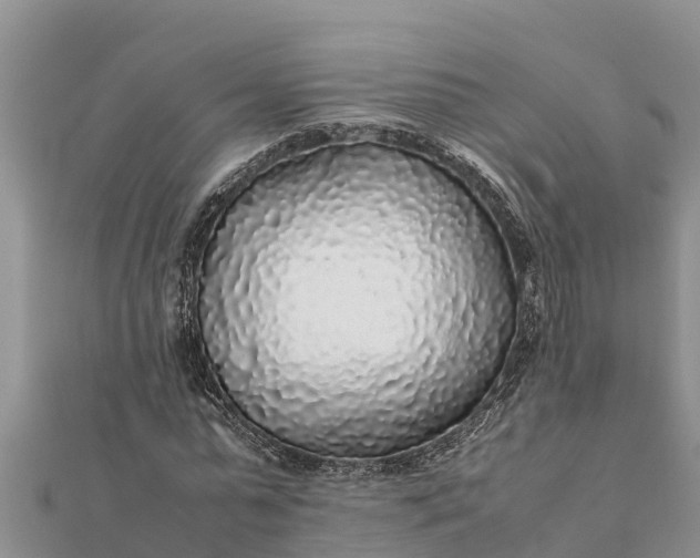 X0000112110775200908181347