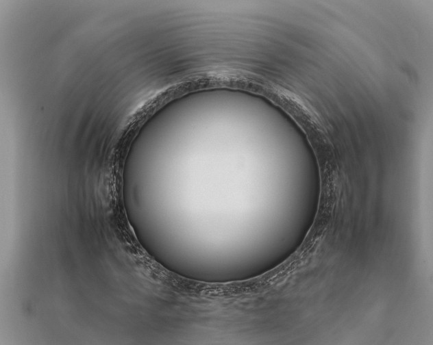 X0000112110776200908181347