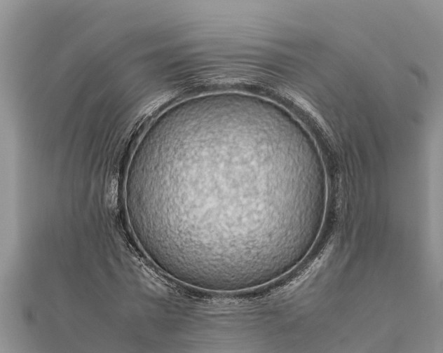 X0000112110777200908181347