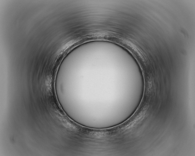 X0000112110778200908181347