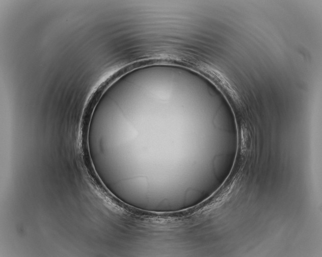 X0000112110780200908181347