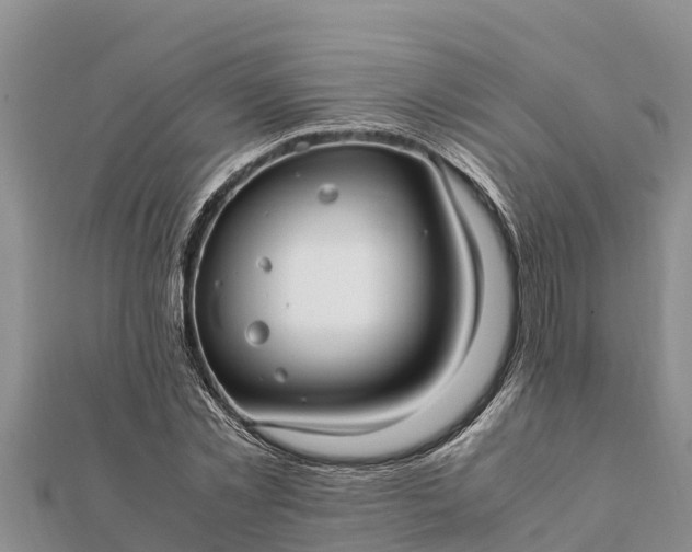 X0000112110781200908181347